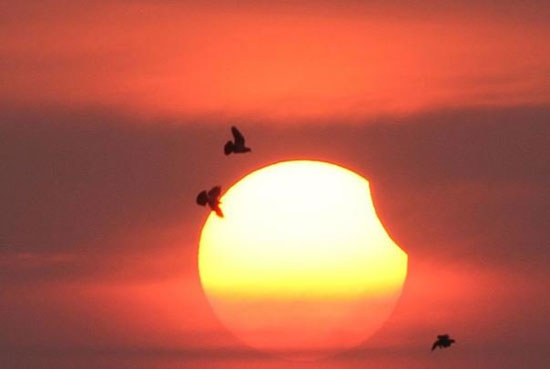 گزارش تصویری تشریحی؛تصاویر نخستین خورشید گرفتگی آمریکا پس از ۹۹ سال