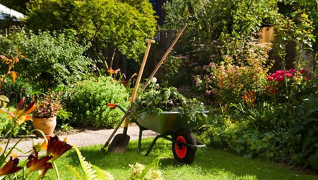 اصول نگهداری از باغچه, نکاتی برای آبیاری باغچه