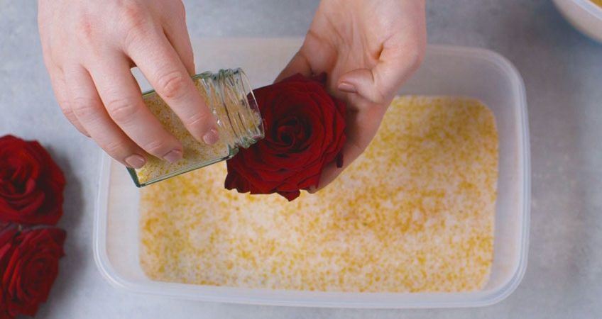 8 روش خشک کردن گل طبیعی