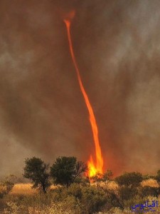 تصاویری از گردباد آتشین یا فایرنادو firenado