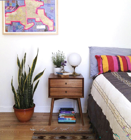 5 گیاه آپارتمانی مناسب در دکوراسیون اتاق خواب