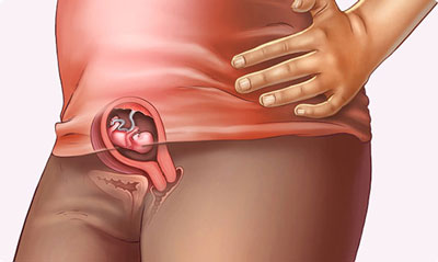 وضعیت جنین در هفته هشتم بارداری