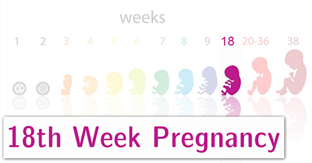مراقبت های هفته هجدهم بارداری,تغذیه در هفته هجدهم بارداری