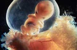 ba1937 250x165 - شرایط جنین و نوع تغذیه در هفته های بارداری
