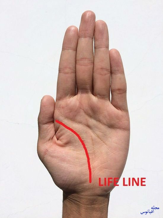 Life Line GH content 550px w700 - معنای خطوط کف دست چیست