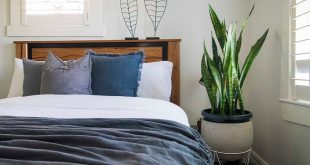 Bedroom plants 1024x768 310x165 - گیاهان اپارپمانی برای تصفیه هوای خانه و بهبود خواب