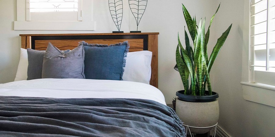 Bedroom plants 1024x768 - گیاهان اپارپمانی برای تصفیه هوای خانه و بهبود خواب