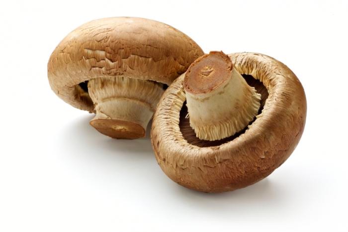 فواید و خواص شگفت انگیز قارچ خوراکی
