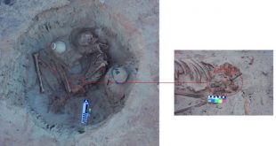 1876671 816 310x165 - کشف گور ۳۷۰۰ ساله زن باردار در مصر