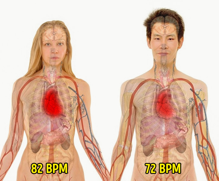 18 واقعیت عجیب و جالب در مورد بدن انسان که احتمالا نمی‌دانید1
