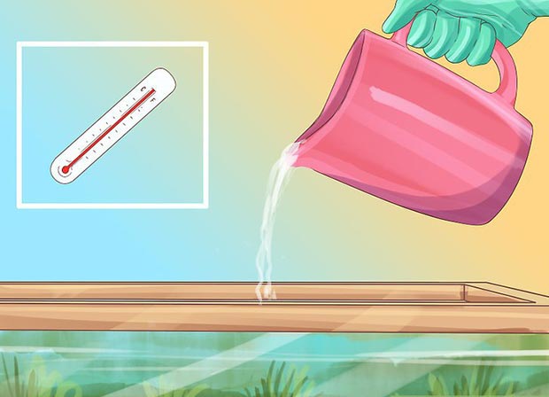 153789 343 - آموزش تصویری تمیز کردن اکواریوم آب شیرین