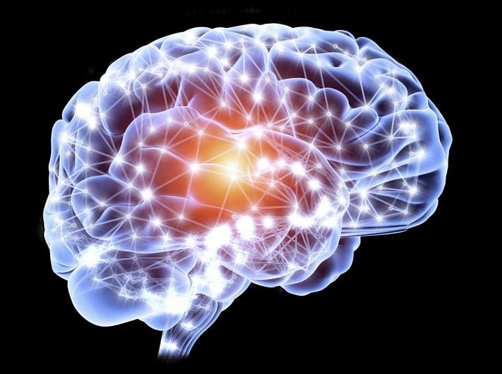 فعالیت ذهنی مانند حل جدول به حفظ توانایی مغز کمک می‌ کند - حل جدول و سودوکو برای سلامت مغز
