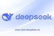 DeepSeek