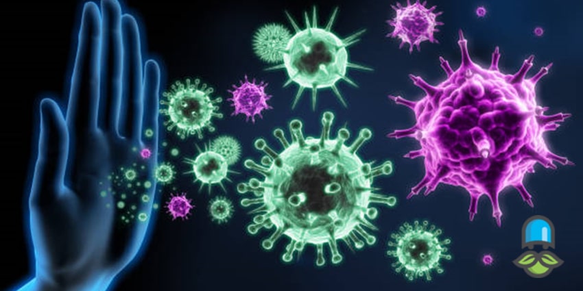 آشنایی روش‌های تقویت سیستم ایمنی در پاییز