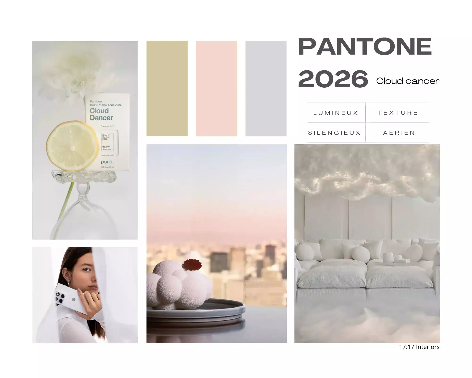 https://www.1717interiors.com/wp-content/uploads/2025/12/moodboard-pantone-2026-1717interiors.webp